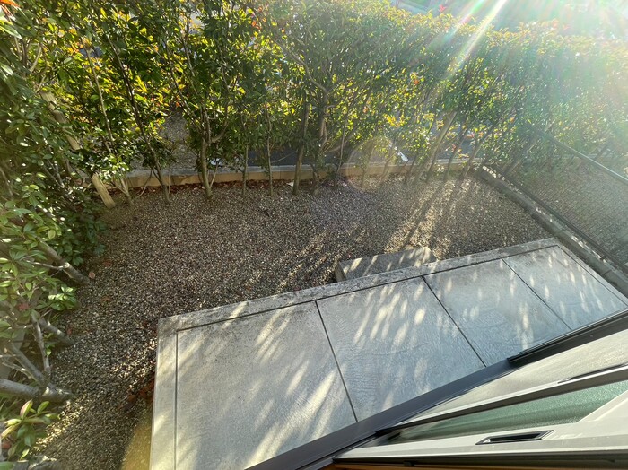 15/21 その他画像