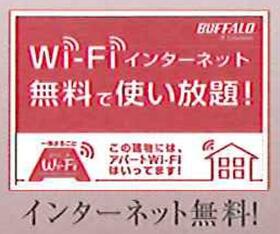 17/17 その他画像