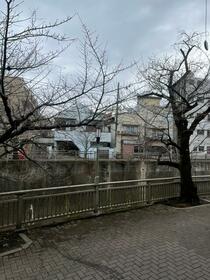 13/15 その他画像