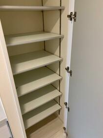 11/11 その他画像