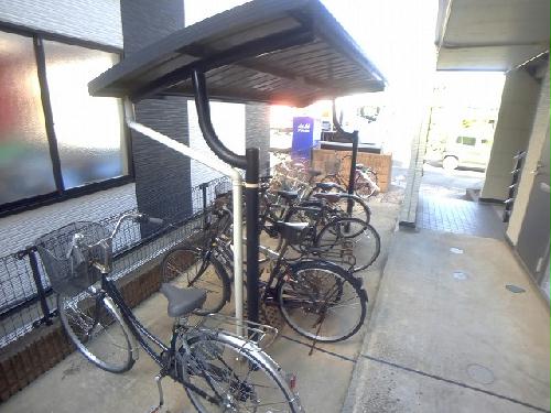 13/21 その他画像