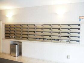 15/16 その他画像