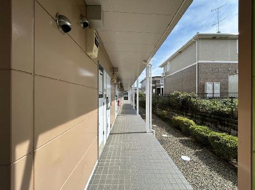 11/15 その他画像