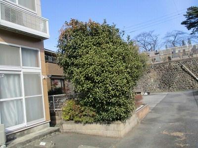 13/23 その他画像