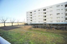 13/17 その他画像