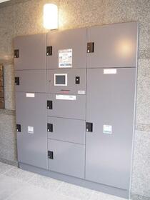 15/16 その他画像