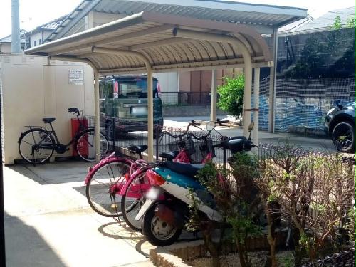 11/14 その他画像