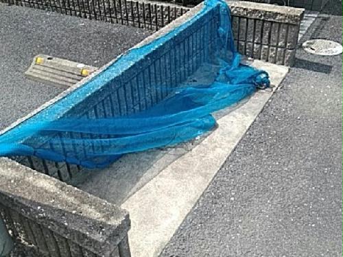 12/14 その他画像