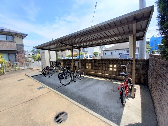 15/19 その他画像