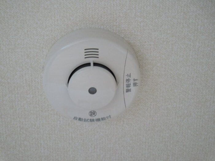 12/16 その他画像