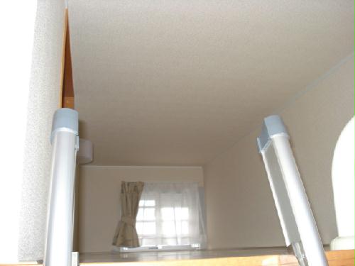 12/14 その他画像