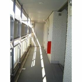 5/13 その他画像