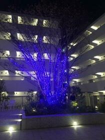 11/13 その他画像