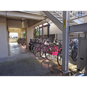 15/19 その他画像