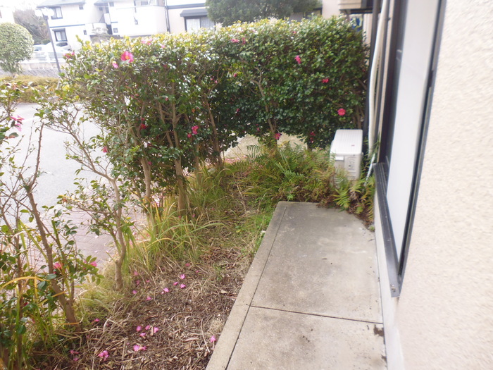 15/20 その他画像