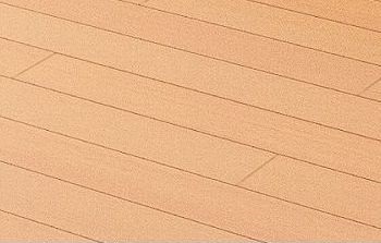 3/20 その他画像