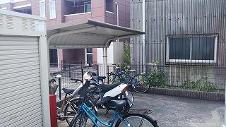 11/14 その他画像