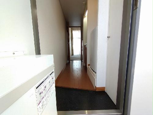 8/17 その他画像