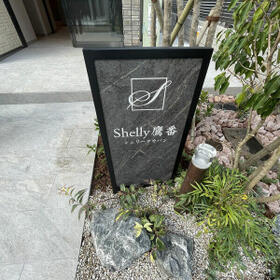 8/16 その他画像