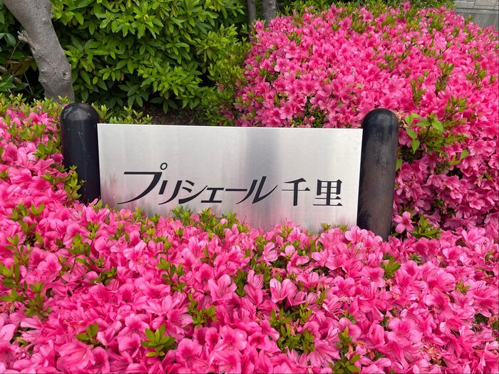 20/28 エントランス