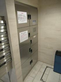 15/16 その他画像