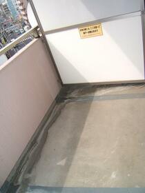 15/24 その他画像