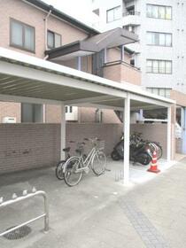 16/17 その他画像