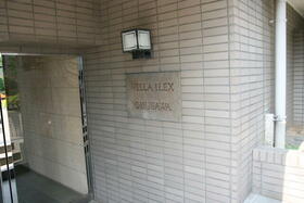 3/13 その他画像