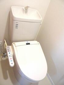 5/11 その他画像