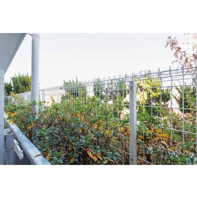 15/25 その他画像