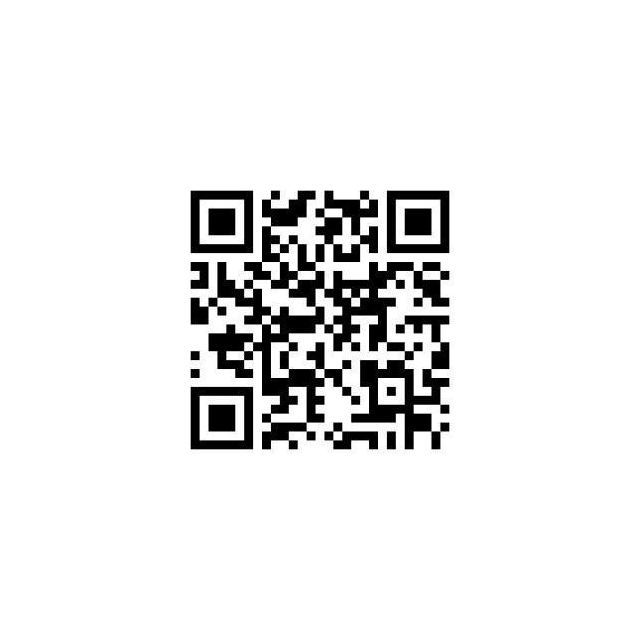 12/29 その他画像