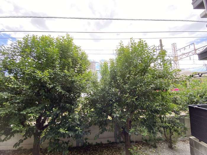 19/20 バルコニー