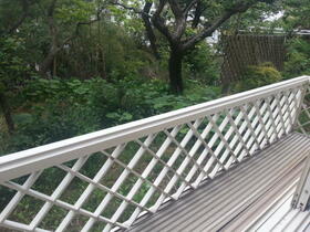 8/24 その他画像