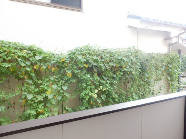 15/29 その他画像