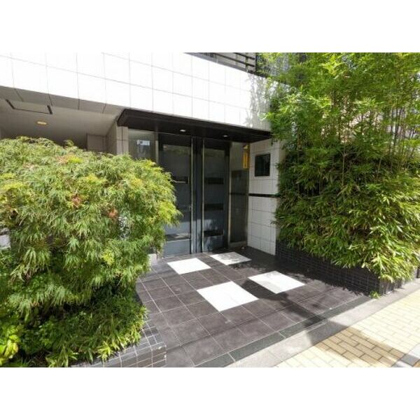 6/11 その他画像