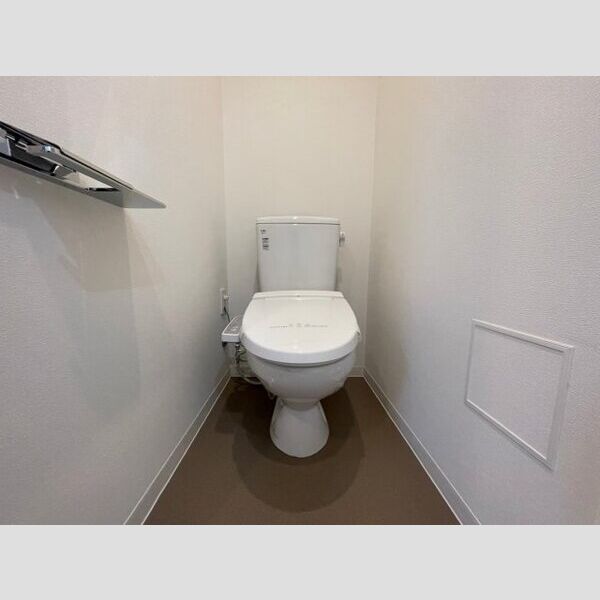 8/18 その他画像