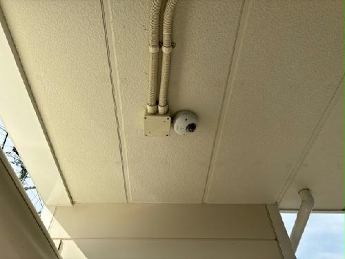 10/24 その他画像