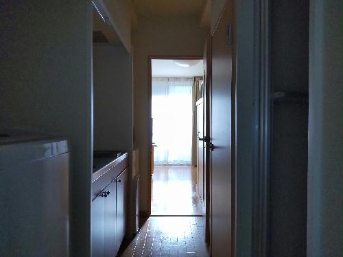 8/14 その他画像