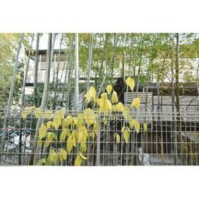 14/16 その他画像