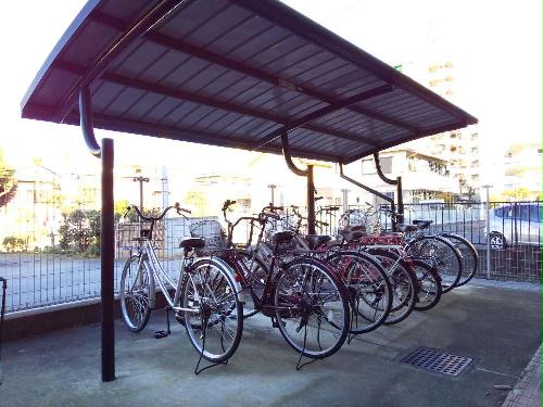 11/24 その他画像