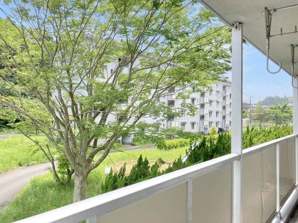 13/17 その他画像