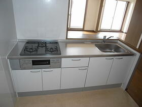 3/16 その他画像