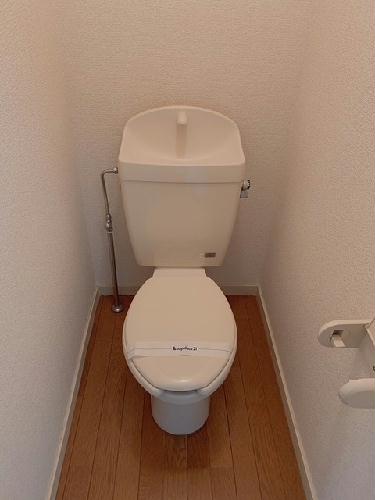 6/14 その他画像