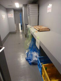 11/12 その他画像