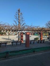 13/14 その他画像