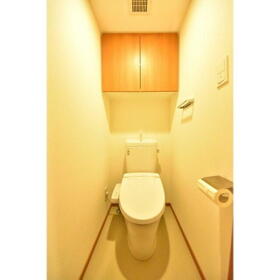 8/16 その他画像