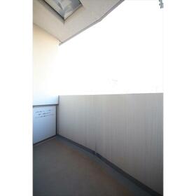 13/16 その他画像