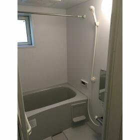 5/11 その他画像