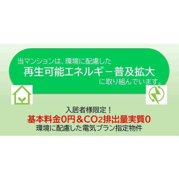 3/11 その他画像