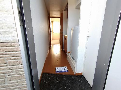 8/16 その他画像